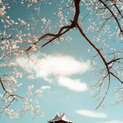 战国传奇手游国际服下载
